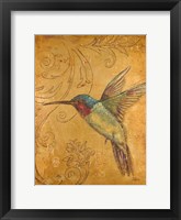 Golden Hummingbird II Framed Print