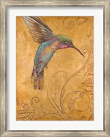 Golden Hummingbird I Fine Art Print