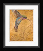 Golden Hummingbird I Framed Print