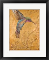 Golden Hummingbird I Framed Print