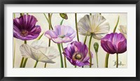 Poppies in Spring I Framed Print