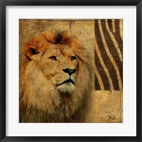 Elegant Safari II (Lion) Fine Art Print