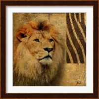 Elegant Safari II (Lion) Fine Art Print