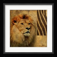 Elegant Safari II (Lion) Fine Art Print