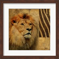 Elegant Safari II (Lion) Fine Art Print