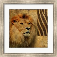 Elegant Safari II (Lion) Fine Art Print