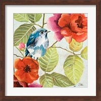 Beautiful Bird I Fine Art Print