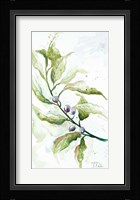 Branches To The Wind I Framed Print