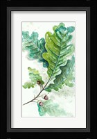 Branches To The Wind II Framed Print