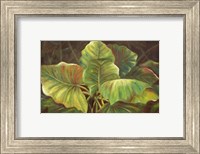 Tropical Green Fine Art Print