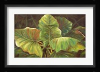 Tropical Green Fine Art Print
