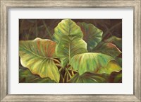 Tropical Green Fine Art Print