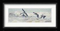 Pelican Panel I Framed Print