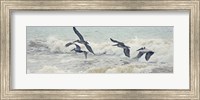 Pelican Panel I Fine Art Print