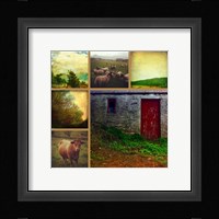 Livestock Fine Art Print