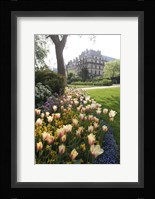 Paris Flowers Fine Art Print