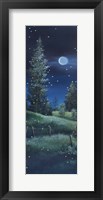 Meadow at Night Fine Art Print