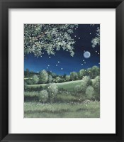 Fireflies Meadow Fine Art Print