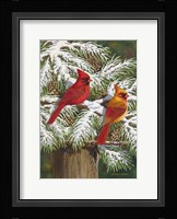 Hangin' Out in The Pines Fine Art Print