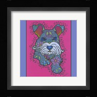 Miniature Schnauzer Framed Print