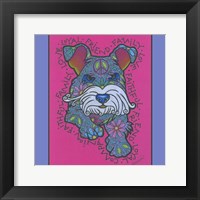 Miniature Schnauzer Framed Print