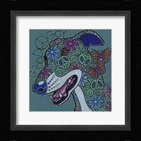 Greyhound 2 Framed Print