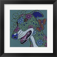 Greyhound 2 Framed Print