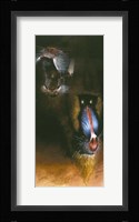 Baboon Scream Fine Art Print