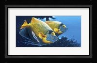 Blue Face Angels Fine Art Print