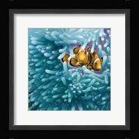 Clowns Fine Art Print