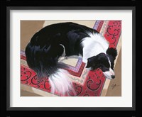 Dog on a Rug Framed Print