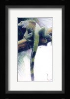 Iguana Fine Art Print