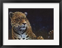 Jaguar Framed Print