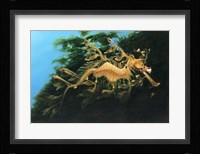 Leafly Sea Dragon Fine Art Print