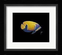 Blue Girdled Angel Fine Art Print