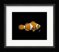 Clown Fish Framed Print