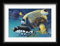 Emporer Angel Fine Art Print