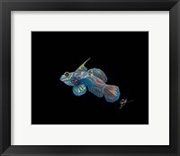 Mandarin Fine Art Print