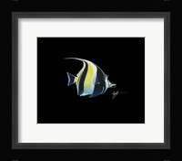 Moorish Idol Fine Art Print