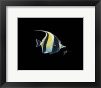 Moorish Idol Fine Art Print