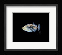 Picasso Trigger Fine Art Print