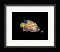 Regal Angel Fine Art Print