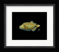 Undulate Trigger Fine Art Print