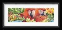 Scarlet Macaws Framed Print