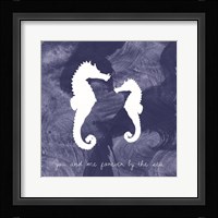 Seahorse Fine Art Print