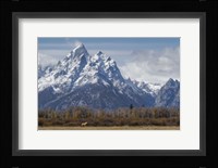A Horse In Front Of The Grand Teton Fine Art Print