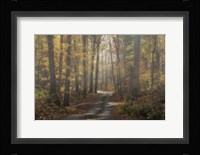 Foggy Forest Fine Art Print