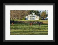 Horse Farm Landscape Fine Art Print