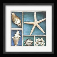 Collection of Memories II Framed Print