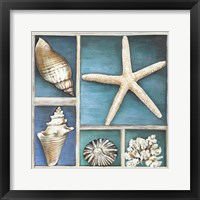 Collection of Memories II Framed Print